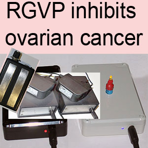 RGVP inhibits ovarian cancer